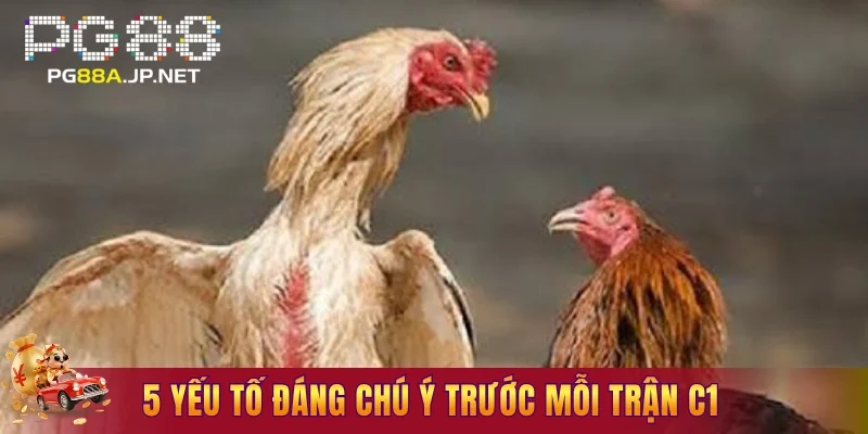 5 yếu tố đáng chú ý trước mỗi trận C1