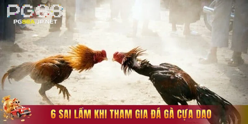 6 sai lầm khi tham gia đá gà cựa dao
