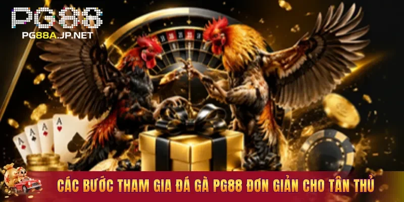 Các bước tham gia Đá Gà PG88 đơn giản cho tân thủ