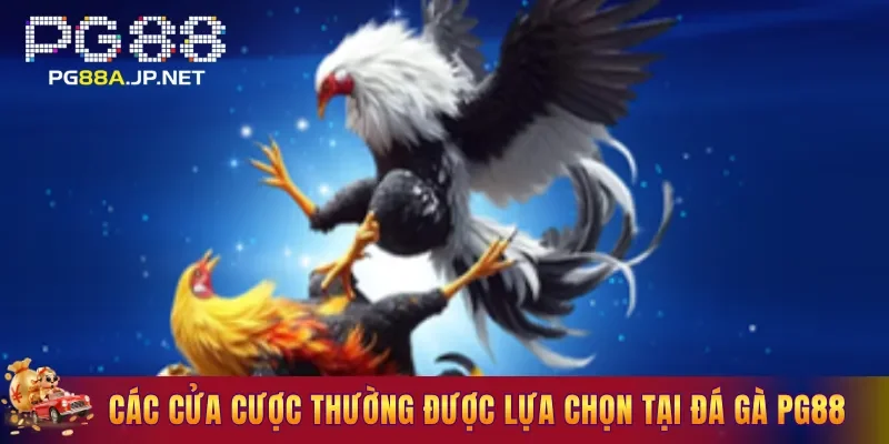 Các cửa cược thường được lựa chọn tại Đá Gà PG88