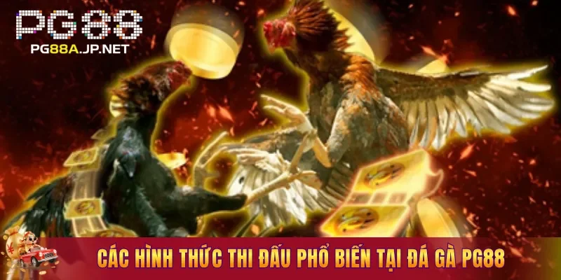 Các hình thức thi đấu phổ biến tại Đá Gà PG88