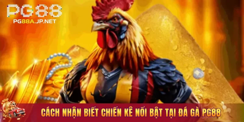 Cách nhận biết chiến kê nổi bật tại Đá Gà PG88