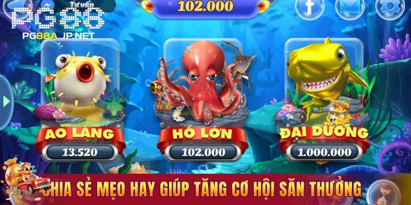 Chia sẻ mẹo hay giúp tăng cơ hội săn thưởng
