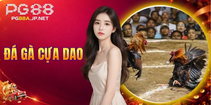 Đá Gà Cựa Dao
