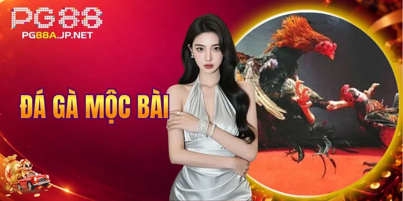Đá Gà Mộc Bài