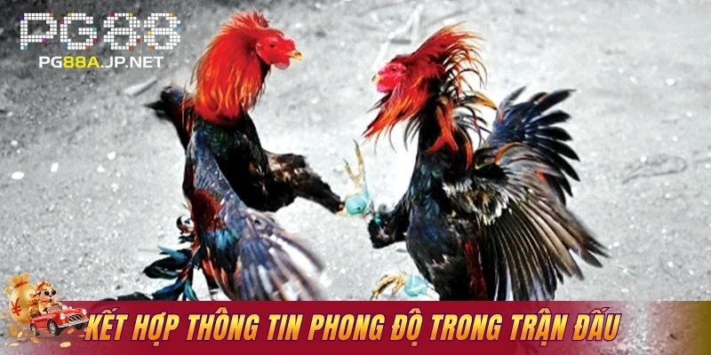 Kết hợp thông tin phong độ trong trận đấu