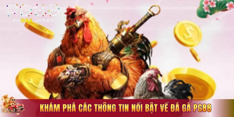 Khám phá các thông tin nổi bật về Đá Gà PG88