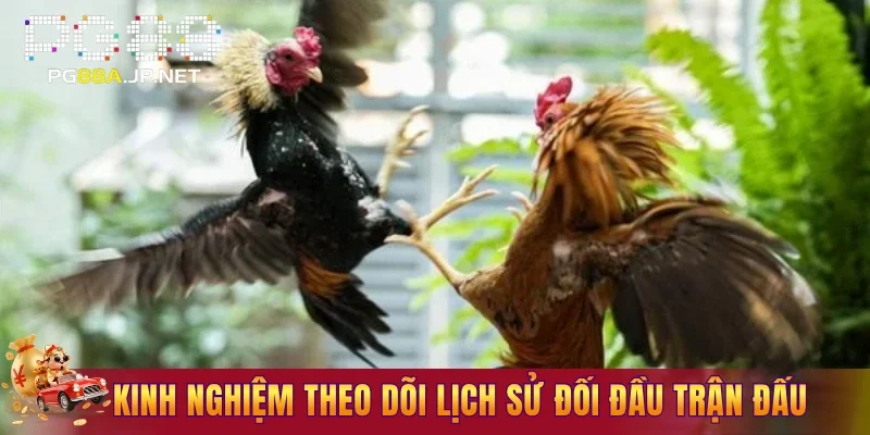 Kinh nghiệm theo dõi lịch sử đối đầu trận đấu