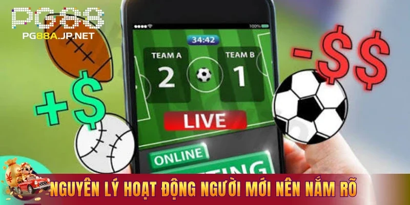 Nguyên lý hoạt động người mới nên nắm rõ