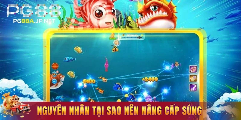 Nguyên nhân tại sao nên nâng cấp súng