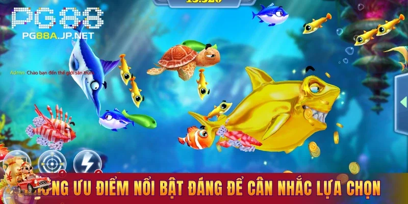 Những ưu điểm nổi bật đáng để cân nhắc lựa chọn