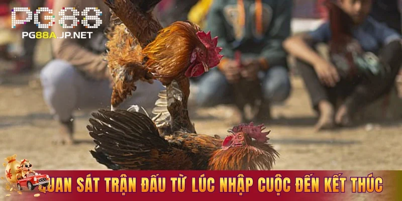 Quan sát trận đấu từ lúc nhập cuộc đến kết thúc