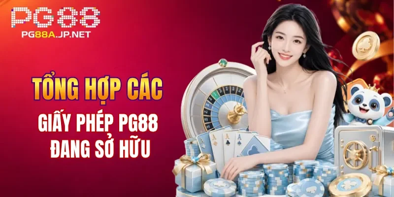 Tổng hợp các giấy phép PG88 đang sở hữu
