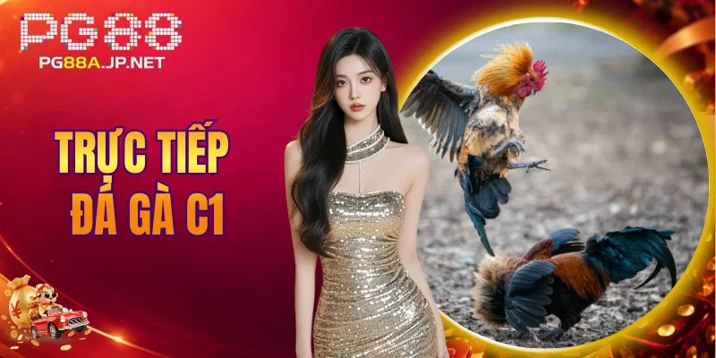 Trực Tiếp Đá Gà C1
